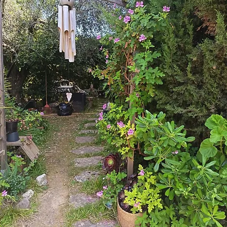 Havre De Verdure Val Claret Antibes