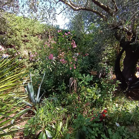 Havre De Verdure Val Claret